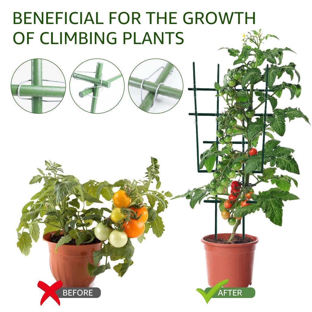 50Pcs Plant Trellis Connecting Buckles Climbing Pipe Support Fixing Tool Reusable Fixing Clamp for Garden Plant Connector