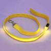 Pet Glow LED Flashing Light Anti-lost Leash Lead Rope Belt