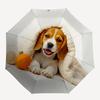 1 Stück Welpenspielzeug Automatischer Öffnungs-/Schließ-Klappschirm, Kompakter tragbarer Reiseschirm yy251230171