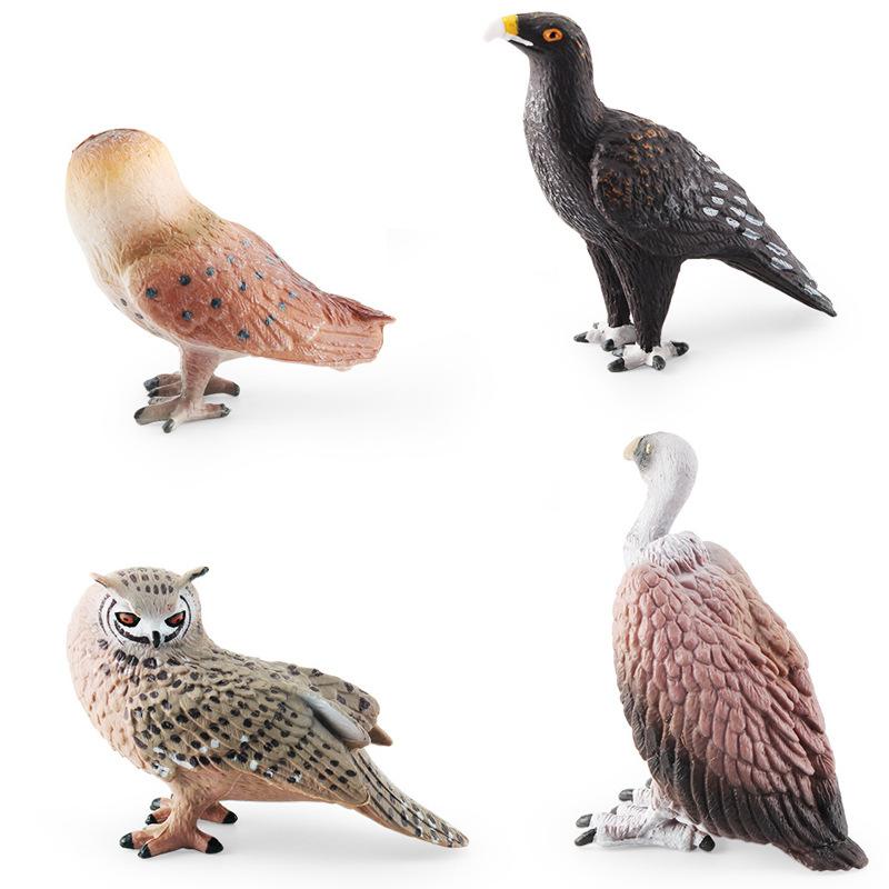 Simulation Of Birds, Birds, Animal Models, Cognition, Monkey Face Eagle, Eagle, Vulture, Owl, Cognition, Static Ornament