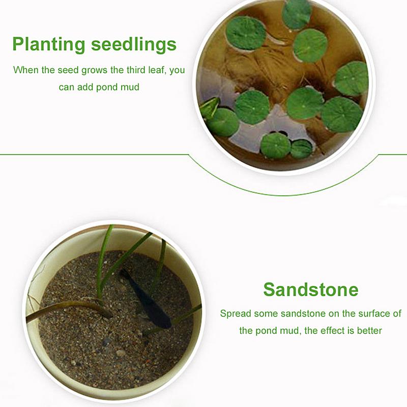 200g Błoto Rzeczne Stawowe Błoto Staw Lotosowy Kwiat Lotosu Nawóz Miska Lotos Wodny Lotos Specjalne Rośliny Wodne Gleba Odżywcza