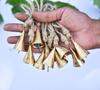 10-Pack Rustic Gold Metal Cow Bells with Jute Rope, 2-Inch Vintage Cone Bells for Crafts, Witch Bells, and Boho Farmhouse Wall Decor