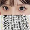 Little Genius Faux Eyelashes - Newbie-Friendly, Fox-Like Angle, Dense Curl, Realistic, Stiff Stem, Elongated Outer Corners