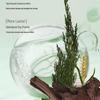 Adolph Plant Fragrance Conditioner
