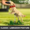 1257pcs Labrador Retriever Building Blocks Set Animal Model Kit for Kids & Adults DIY Dog Bricks Creative Gift Idea for Kids