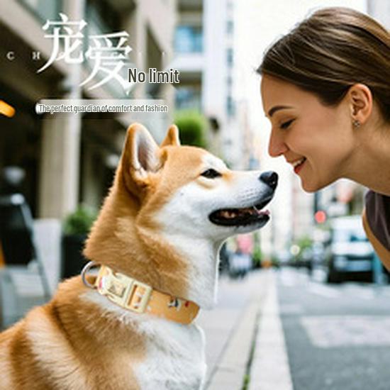 Verstellbares ausbruchsicheres Katzengeschirr und Leine für den Außenbereich