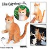 Solid Orange Persian, Ragdoll, Somali, and Blue Short-haired Cat Simulation Models