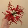 Red Shore Flower Hair Clip New Tassel Design Chinese Ancient Style Elegant Duckbill Clip Women's Side Bangs Clip Hair Accessory