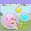 Transparent Plastic Hamster Ball With Ventilation For Running And Exercise Large Toy