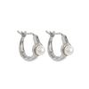 Arc Pearl Earrings for Women - High-End Niche Design, 2025 Winter Style