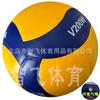 Soft PVC/PU Glued Volleyball School PE Exams Training Competition 5 Inch Size