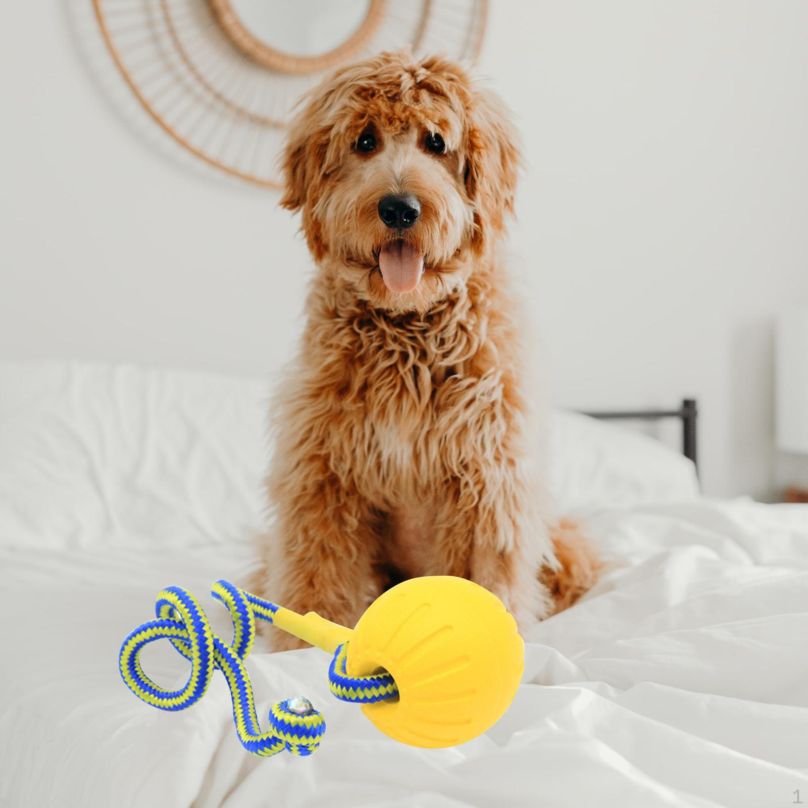EVA Dog Chew Ball Toys Yellow Bite Resistant Tear Scratch Resistance Durable 7cm Ball With Rope