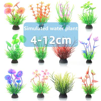 Fische & Meerestiere – Aquarien-Einrichtung
