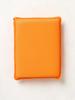 Bug Removal Mesh Sponge 19 X 15 Cm
