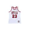 NBA AU 95-96 23 Men's AJY4GS18076-CBUWHIT95MJO