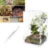 Klares Acryl Reptilien Terrarien Kletter Haustier Reptilien Käfig Ungiftig Geruchlos Für Labor/Zuhause