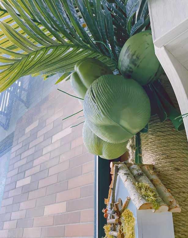 Indoor Coconut Tree Simulation: Enhance Balconies with Lush Greenery and Unique Decor