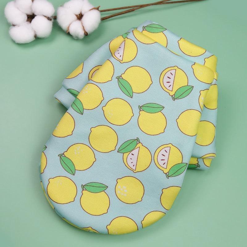 Pet French Bullfighting Cat Two-legged Clothing Hoodie Dog and Cat Clothing SuppliesDog Clothing