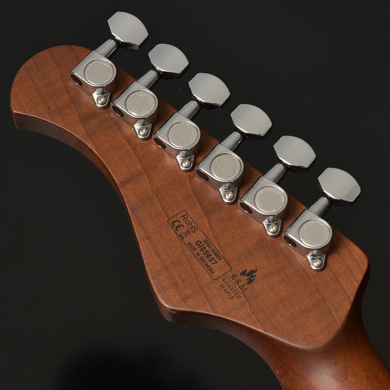 BACCHUS Global Series Electric Guitar WINDY-BREAKER/RSM CHG-S