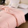 Fangwang Skin-Friendly Thickened Warm Quilt