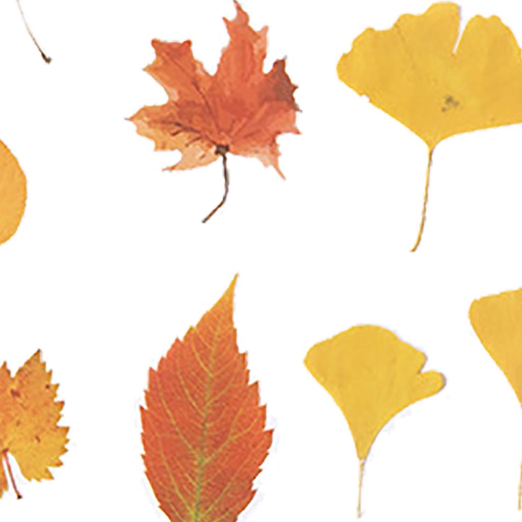 Leaf Scrapbook Stickers Decorative PET Fall Leaves Scrapbooking Decals for Journaling Photo Album 40pcs