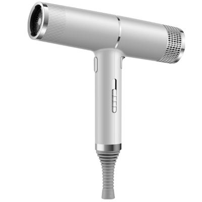 Portable 700W High Speed Hair Dryer Hot And Cold Air Ultra Quiet Negative Ion Hair Dryer With Diffuser
