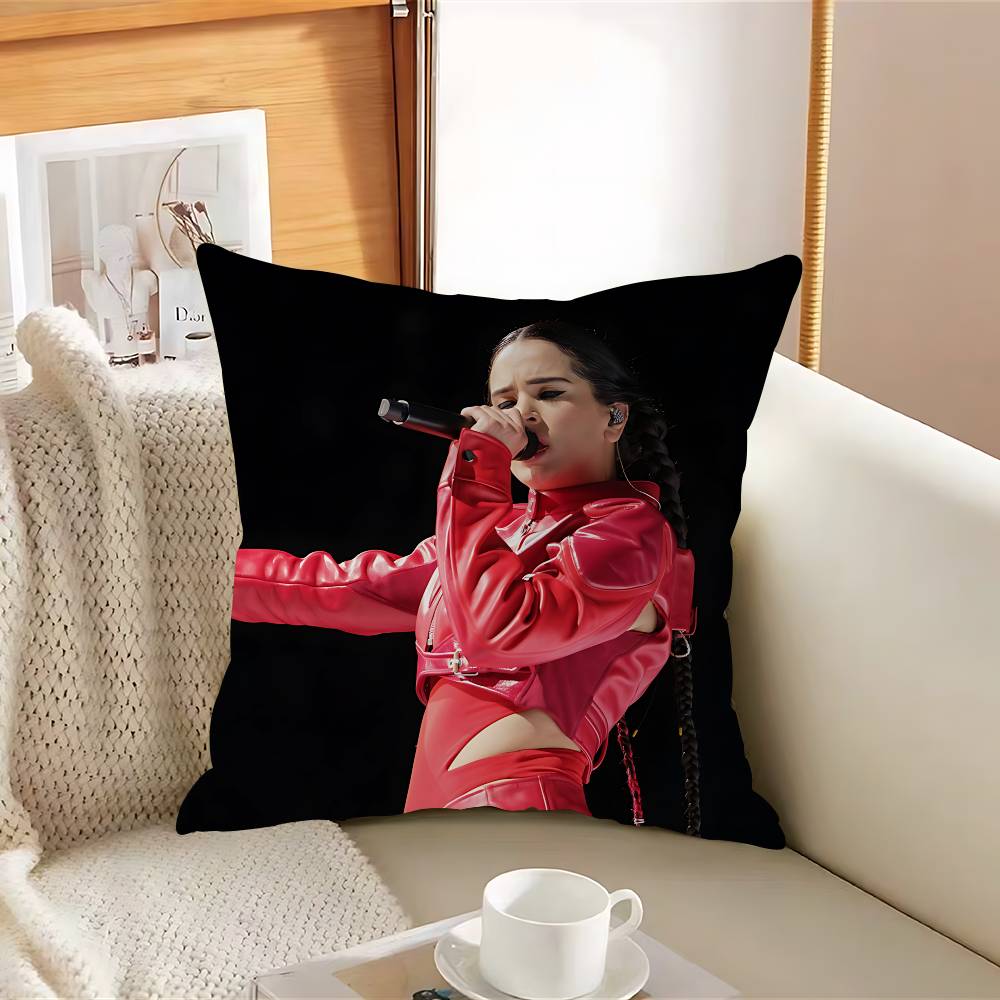 

R-RosaliaS Music AlbumS Pillow Case Removable Washable Cushion Cover – All-Season Soft Linen 12x12Inch