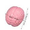 Slow Rising Brain Squishy Toy Moldable Prank Toy Unique Squeeze Toy  for Adults Kids