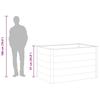 Garden Raised Bed WPC 150 x 100 x 91 cm Grey