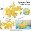 Oenux Ocean Starfish Sea Anemone Coral Jellyfish Squid Shrimp Crab Shark Animals Model Action Figures PVC Miniature Kid Toy Gift