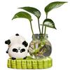 Desktop Glass Planter Vase Holder Small Cute Ceramic Panda Hydroponic Vase Decorative Flowers Plants Pot for Desk Table