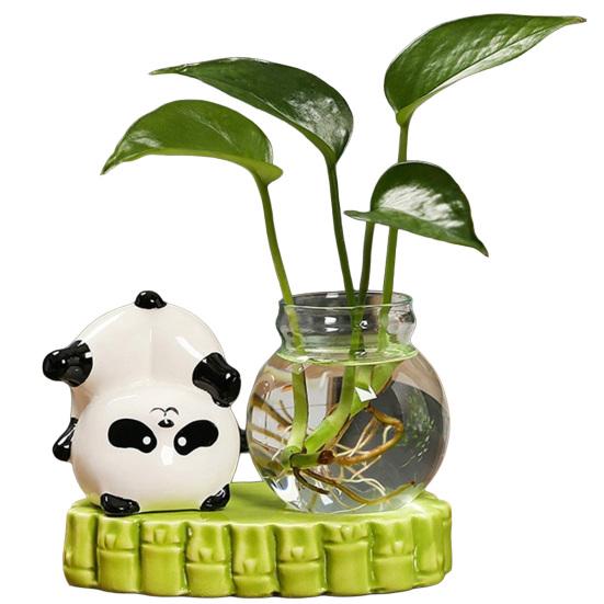 Desktop Glass Planter Vase Holder Small Cute Ceramic Panda Hydroponic Vase Decorative Flowers Plants Pot for Desk Table