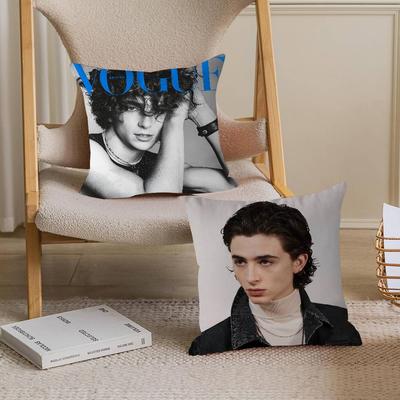 Actor Timothee Chalamet Personalized Pillow Cover Kids Bedroom Wild Party Decor Pillowcase Kid Birthday Shower Gift