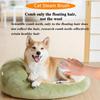 Electric Cat Dog Grooming Comb 3-in-1 USB Powered Silent Massage Tool with Steam Spray Brush Antistatic Built-in Water Tank