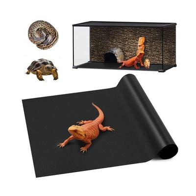 זוחלים – טרריום לזוחלים