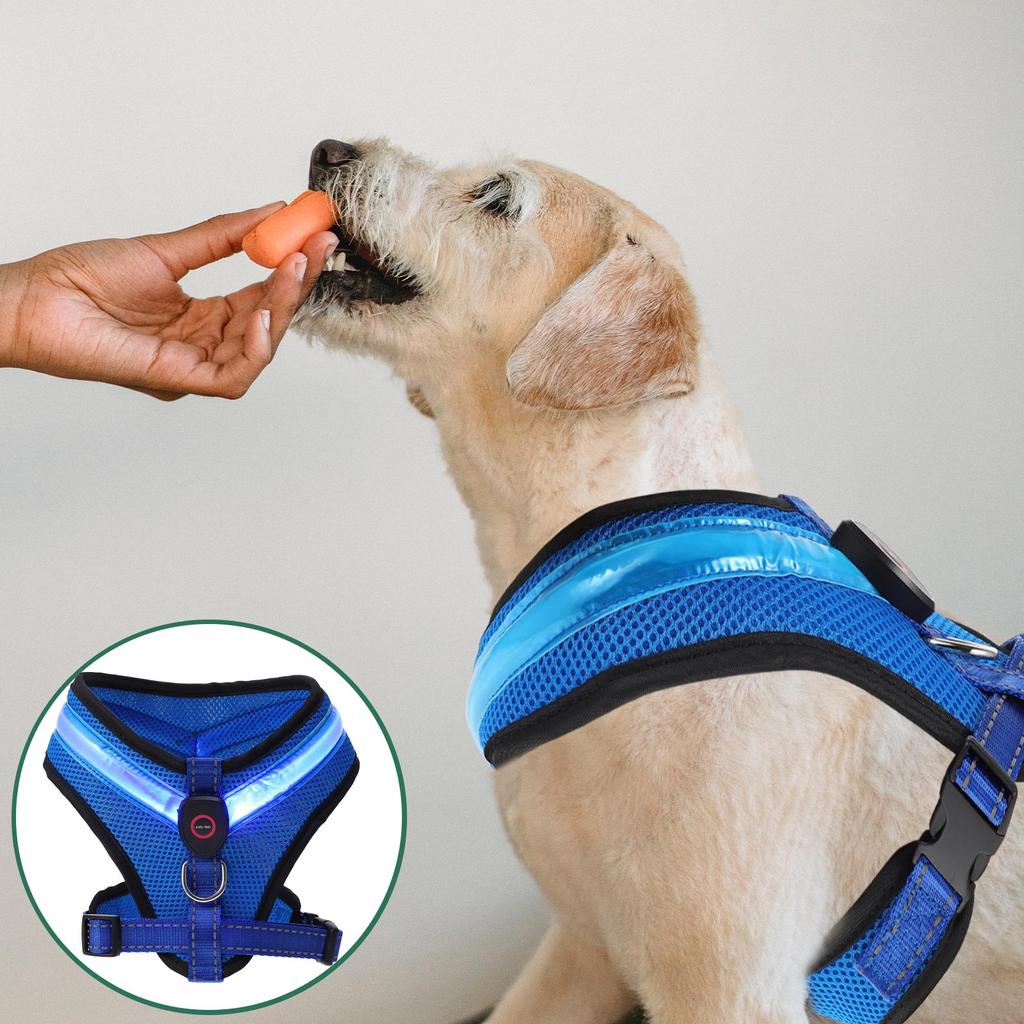 Polstret hundevest Glødende Lysende LED Blinkende Kjæledyrsele Grønn Nylon Praktisk