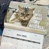 2025 Wall Calendar Pissed-Off Cat English Calendar Cute Desk Accessories Office Supplies Every Day Can Be Celebrated