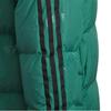 adidas ALLOVER PRINT Down Jacket Teenagers Forest Green JJ5028