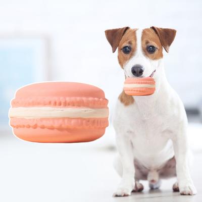 Cani – Giocattoli per cani
