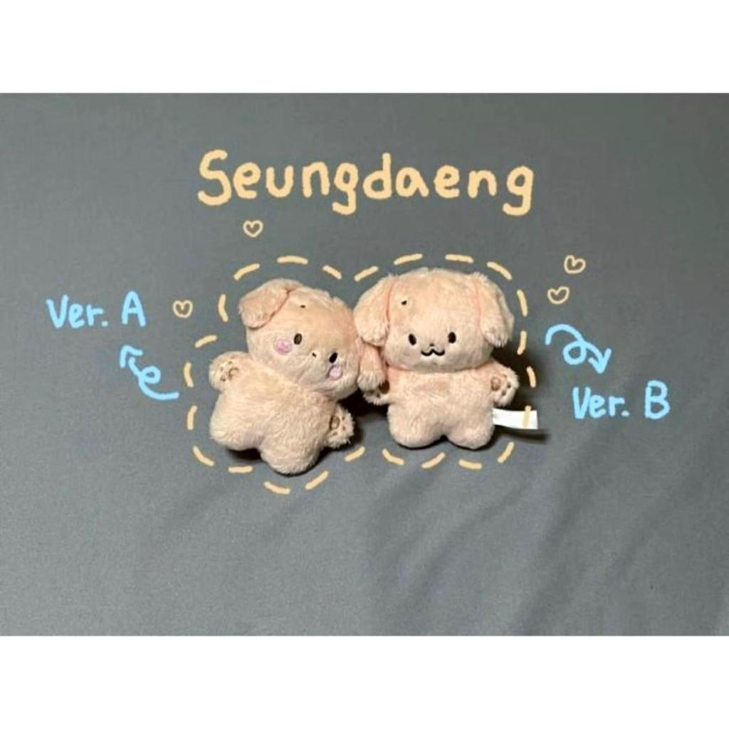 [USED] Stray Kids Seungmin Plush Toy B ver. Seungmin Seungmin