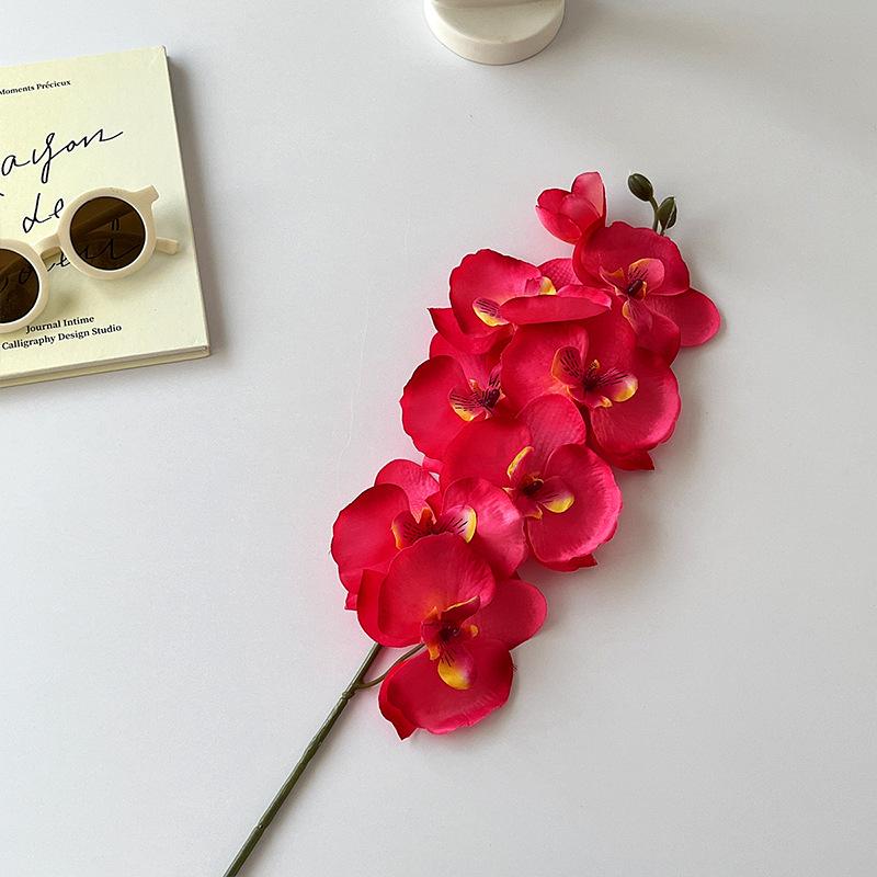 

68 см Искусственные ветки фаленопсиса Настоящее прикосновение Стебли орхидеи-бабочки Цветочная композиция Свадебная вечеринка Домашнее украшение