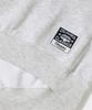 COLUMBIA UNIVERSITY Street Arch Heavy Terry Crew Neck_Light Gray