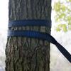 2 Stück Hängemattengurte mit hoher Tragfähigkeit 600 lbs Bruchfestigkeit Polyester Hängematten-Gurtseil 5 Ring Polyestergurte