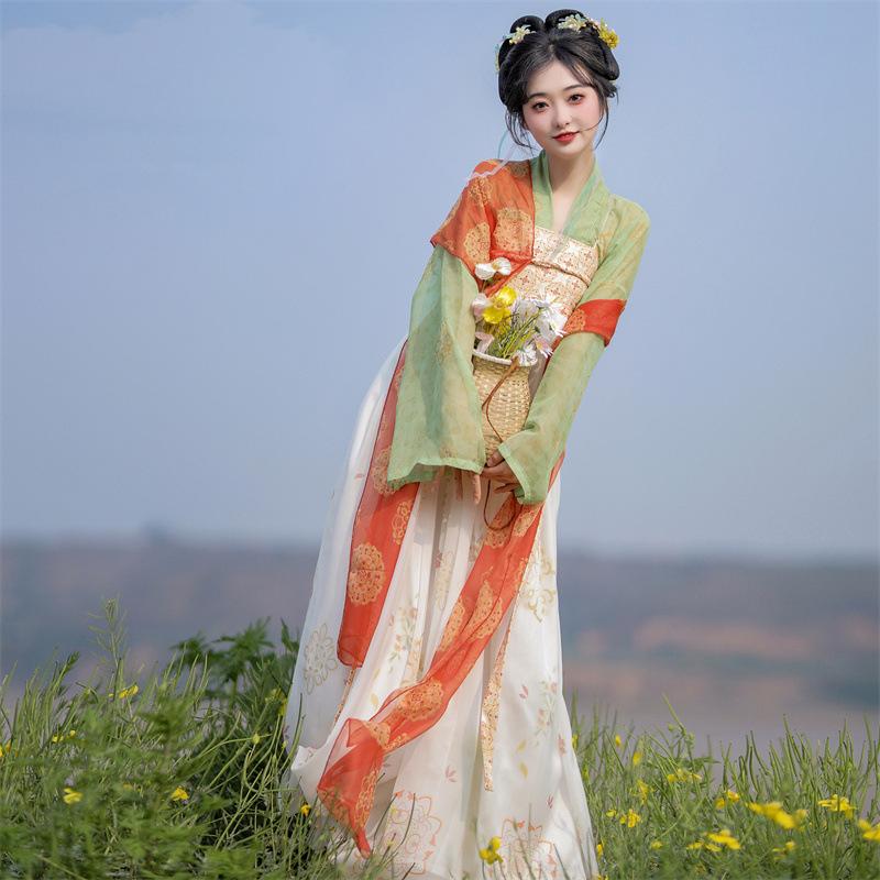 Chinese Tang Dynasty Style Chest Length One-piece Skirt Hanfu Set For Women