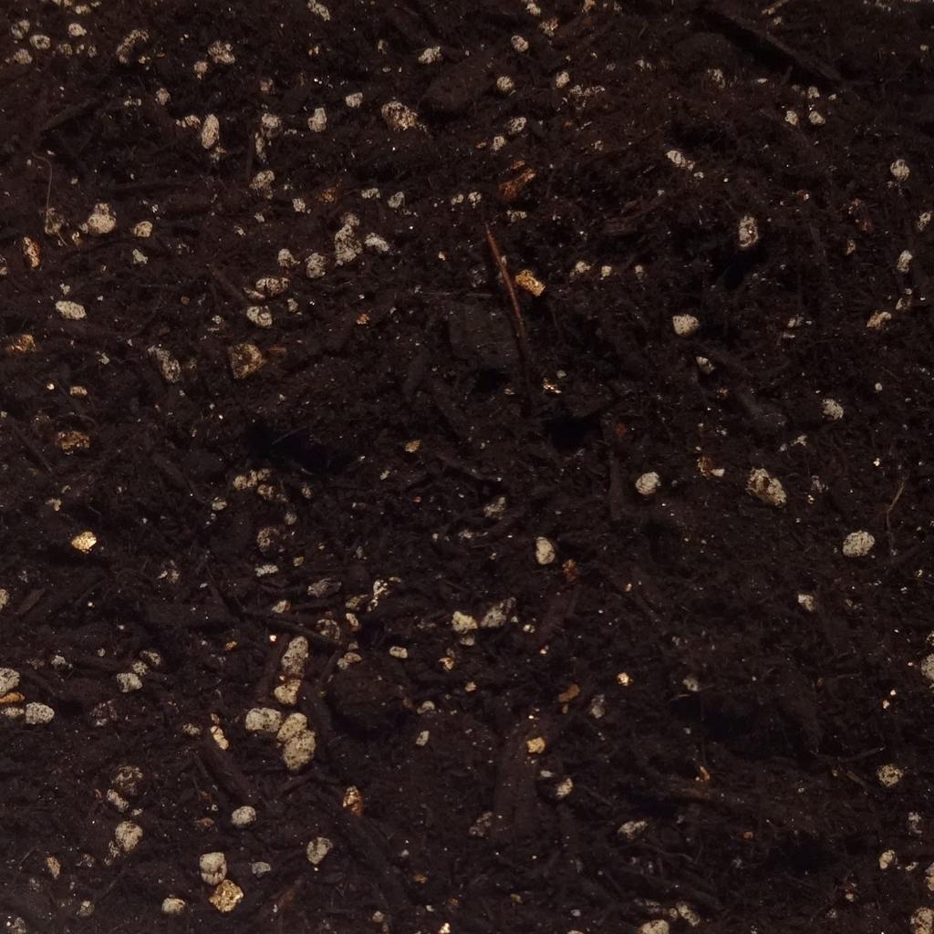 For Fruit Trees and Garden Along with Winter Natural Applied Science Fruit Trees and Garden Revive with Just a Sprinkle of This 14L [Fertilizer Trees,