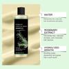 Bio Rosmarin Haarwachstum Shampoo, Rosmarin Hydrolysiertes Keratin Shampoo, Natürliche Verdickung & Stärkung Pflegt das Haar Weich und Flauschig, 100ml
