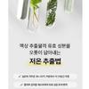COSRX Pure Fit Cica Serum 30ml