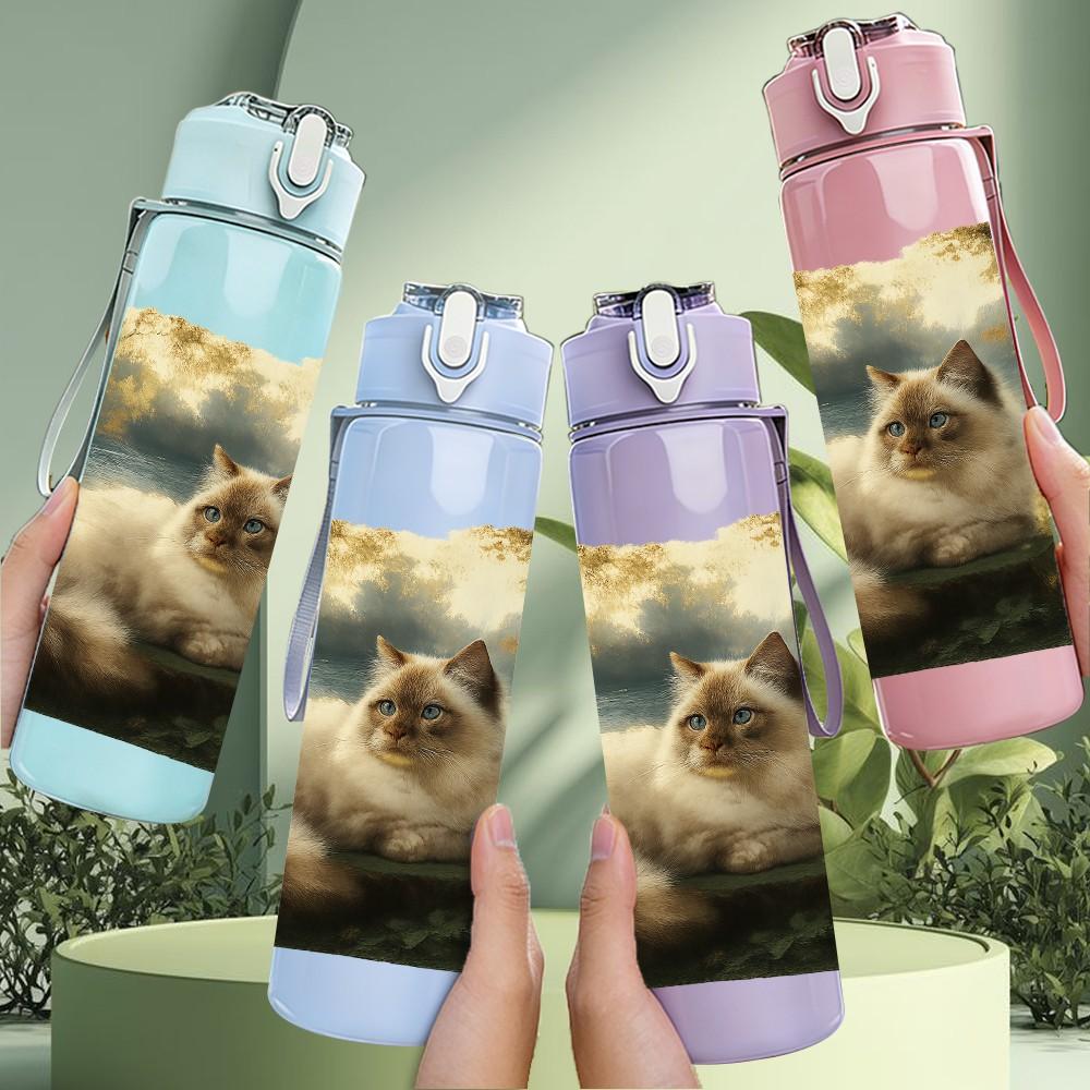 1PC Cat Resting On Pillow 750ml Color Plastic Sports Water Bottle Leakproof Flip Straw Lid Suitable for Sports Office Home Use