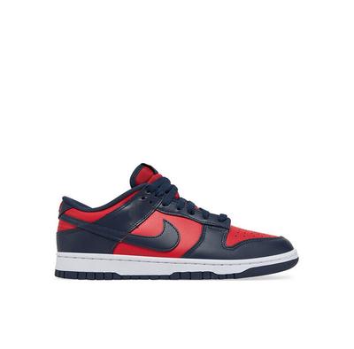 Dunk Low Retro Sneakers