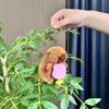 Capybara 11cm Fashionable Plush Keychain With Adorable Strawberry Hat Great Personalization For